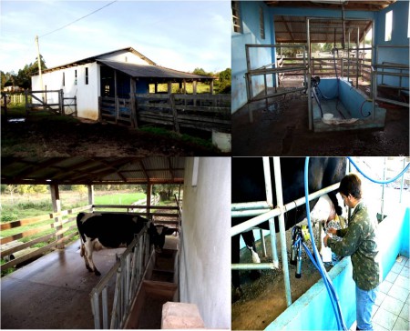 Bovinocultura Leiteira